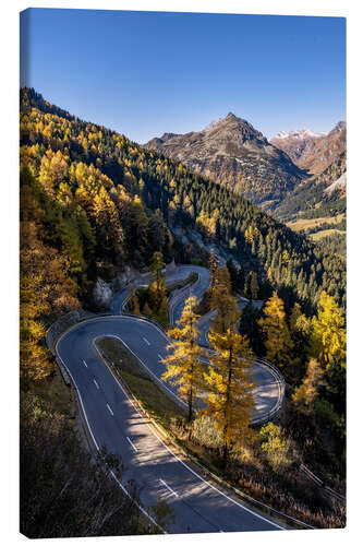 Quadro em tela Malojapass in the Swiss Engadine