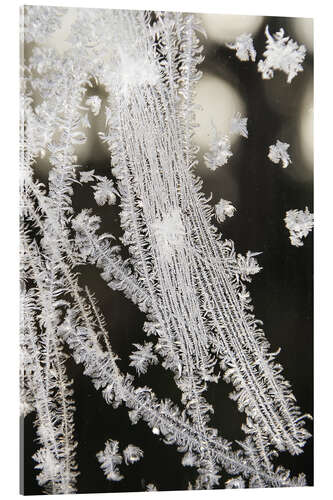 Tableau en verre acrylique Ice crystals, jewels of nature