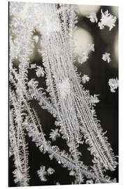 Stampa su alluminio Ice crystals, jewels of nature