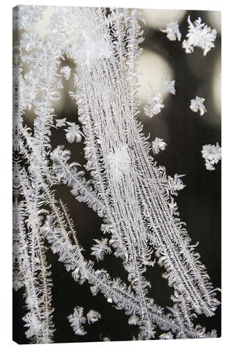 Canvastavla Ice crystals, jewels of nature