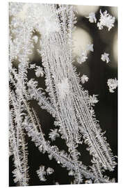 Tableau en PVC Ice crystals, jewels of nature