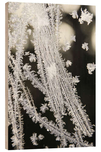 Trebilde Ice crystals, jewels of nature