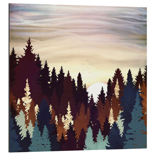 Cuadro de aluminio Autumn Forest Sunset