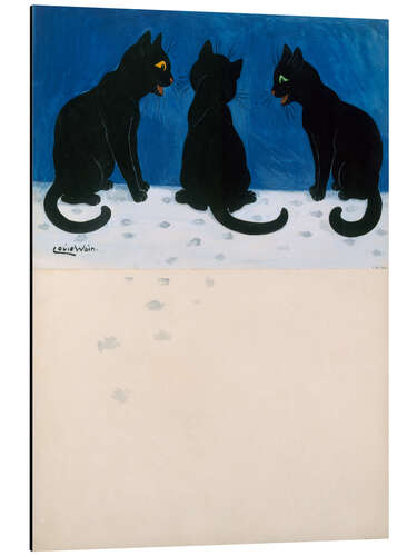 Aluminium print Black Cats in the Snow