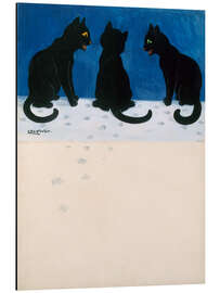 Magnettafel Schwarze Katzen im Schnee