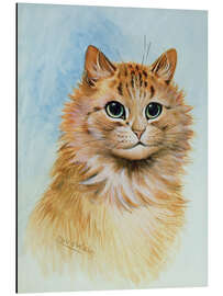 Aluminium print Ginger Tom