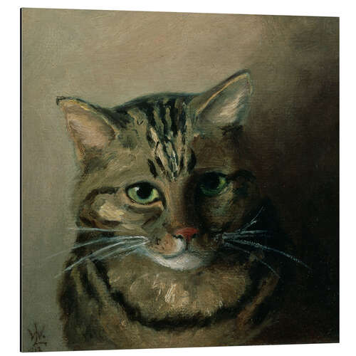 Quadro em alumínio A Head Study of a Tabby Cat