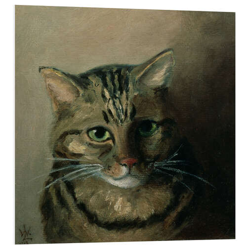 PVC print A Head Study of a Tabby Cat