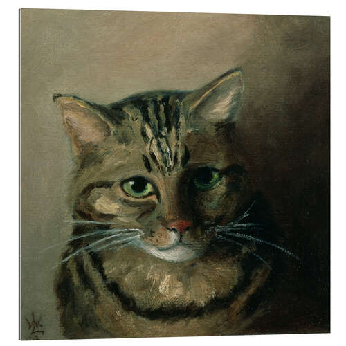 Gallery print A Head Study of a Tabby Cat