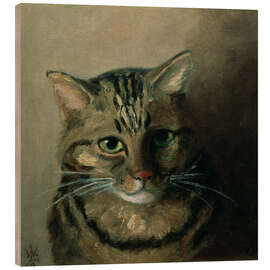 Quadro de madeira A Head Study of a Tabby Cat