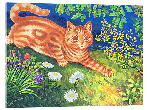 Acrylic print Cat Stalking