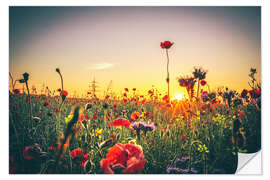 Adesivo murale Flower meadow in the sunset