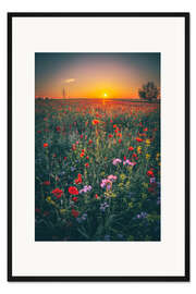 Gerahmter Kunstdruck Mohnfeld im Sonnenuntergang
