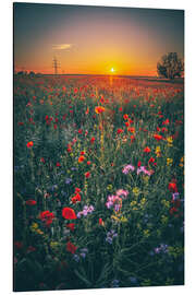 Magnettafel Mohnfeld im Sonnenuntergang