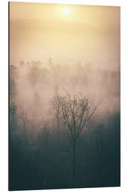 Alubild Wald im Nebel