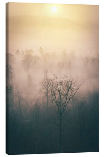 Leinwandbild Wald im Nebel