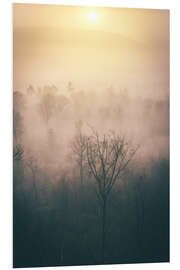 Foam board print Forest in the fog