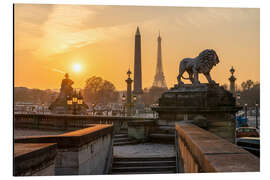 Stampa su alluminio Golden sunset over the Paris skyline