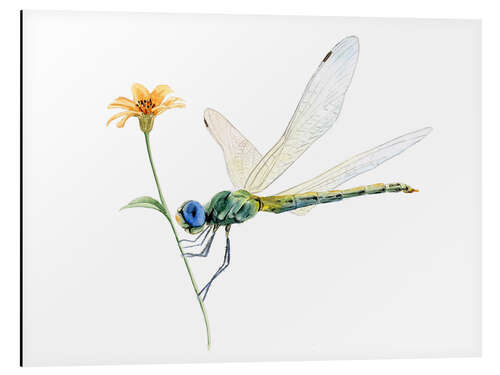 Tableau en aluminium Dragonfly