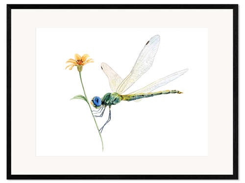 Impresión de arte enmarcada Dragonfly
