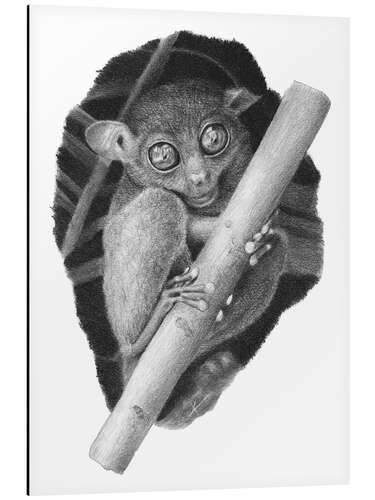 Tableau en aluminium Tarsier, tarsier