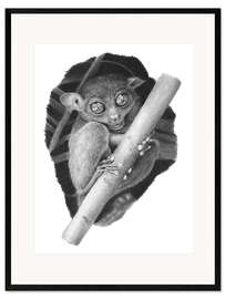 Framed art print Tarsier, tarsier