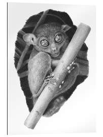 Quadro em plexi-alumínio Tarsier, tarsier