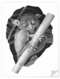 Wandsticker Tarsier, Koboldmaki