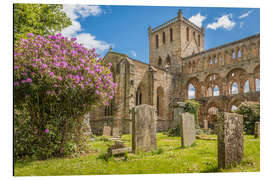 Alubild Ruine des  Klosters Jedburgh Abbey, Schottland