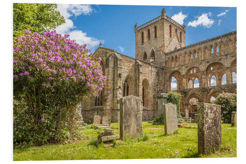 Quadro em PVC Ruin of Jedburgh Abbey, Scotland