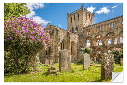 Naklejka na ścianę Ruin of Jedburgh Abbey, Scotland