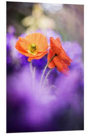 Tableau en PVC Gorgeous Poppies