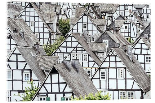 Acrylglas print Sister Houses