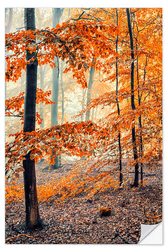 Vinilo para la pared November in Holland