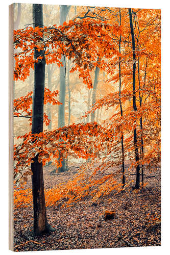 Holzbild November in Holland