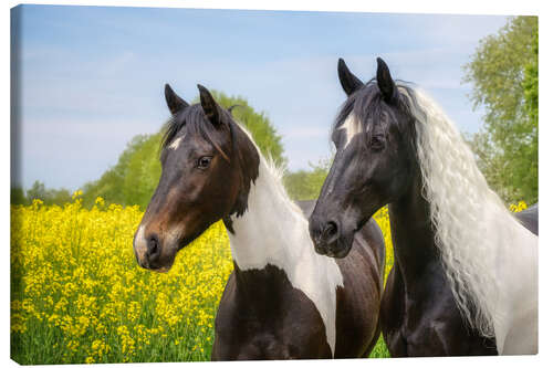 Canvas-taulu Baroque pinto horse portraits