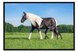 Gerahmter Kunstdruck Barock Pinto Stute mit Fohlen