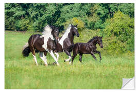 Sticker mural Baroque pinto horses with foals galloping