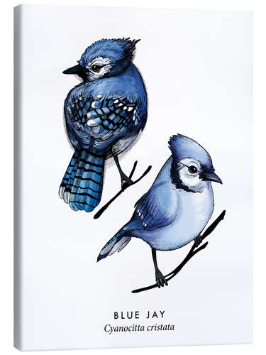 Canvas print Blue jay