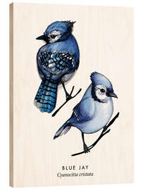 Wood print Blue jay