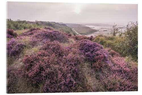 Akrylbillede Heathland on the Morsumer Kliff on Sylt