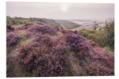 Foam board print Heathland on the Morsumer Kliff on Sylt