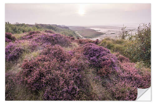 Autocolante decorativo Heathland on the Morsumer Kliff on Sylt