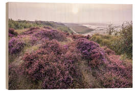 Obraz na drewnie Heathland on the Morsumer Kliff on Sylt