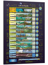Magnettafel Life on Earth (englisch) - Planet Poster Editions