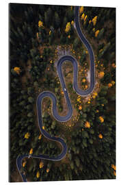 Gallery print Italian serpentine from above