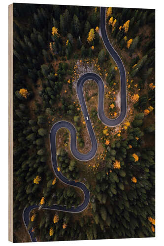 Wood print Italian serpentine from above