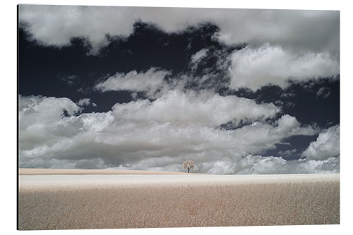 Aluminium print Infrared landscape