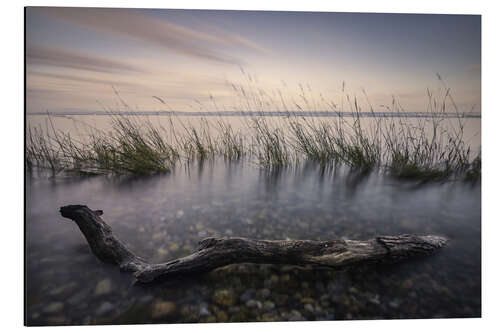 Alumiinitaulu Lake Constance