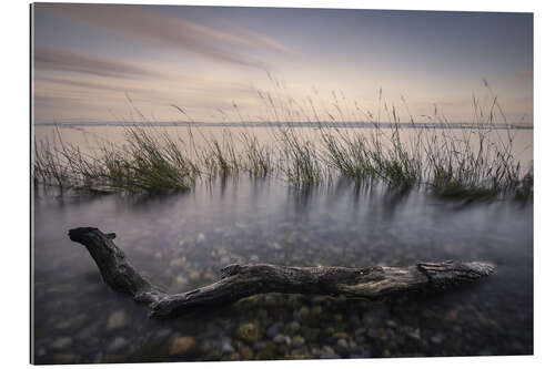 Galleritryk Lake Constance